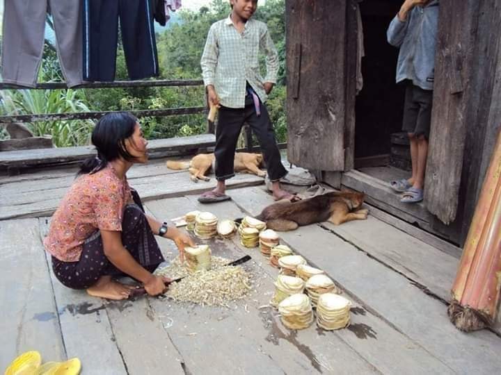 Zomi image zomi-13.jpg