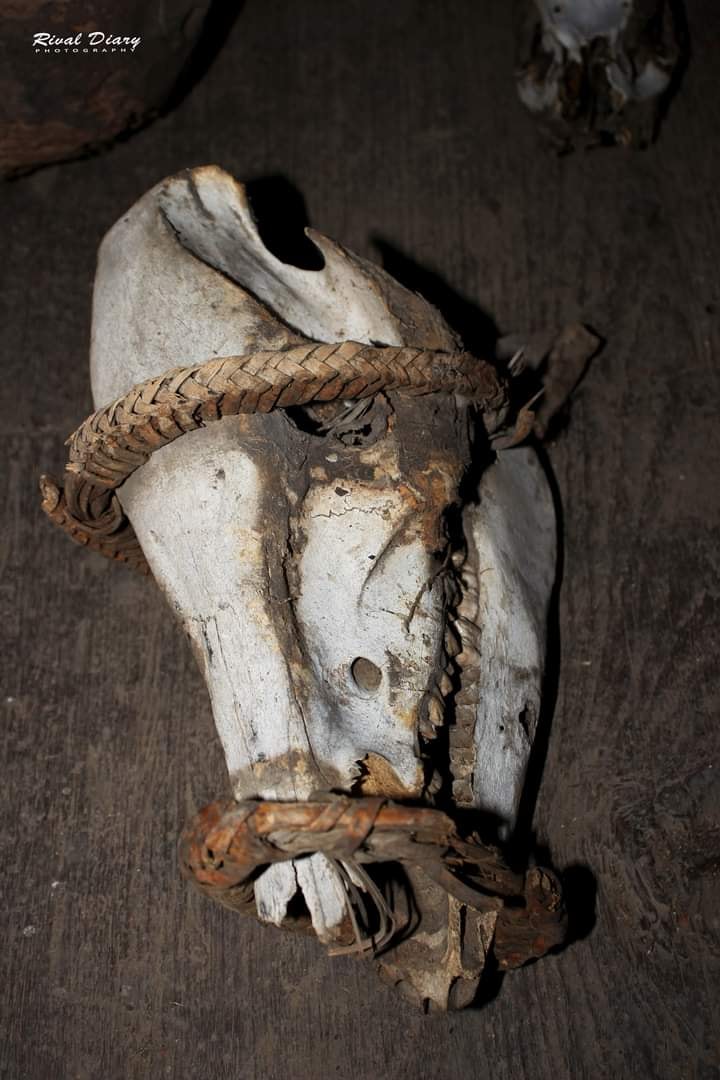 Zomi image zomi-14.jpg