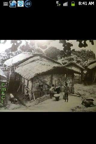 Zomi image zomi-15.jpg