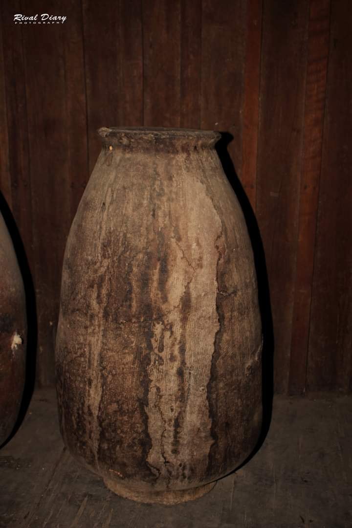 Zomi image zomi-17.jpg