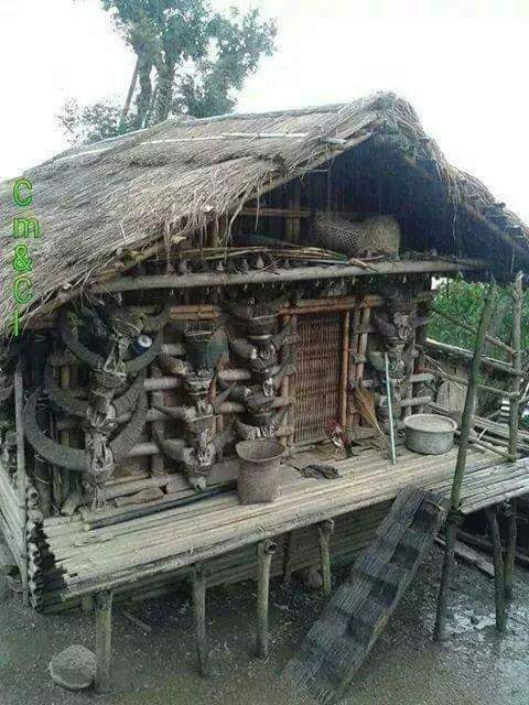 Zomi image zomi-18.jpg