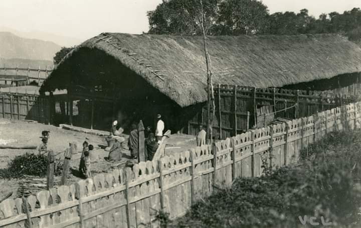 Zomi image zomi-19.jpg