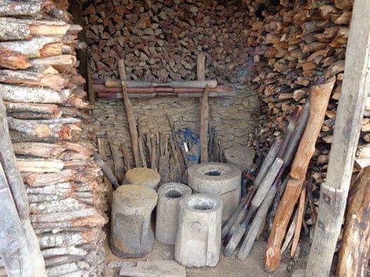 Zomi image zomi-21.jpg