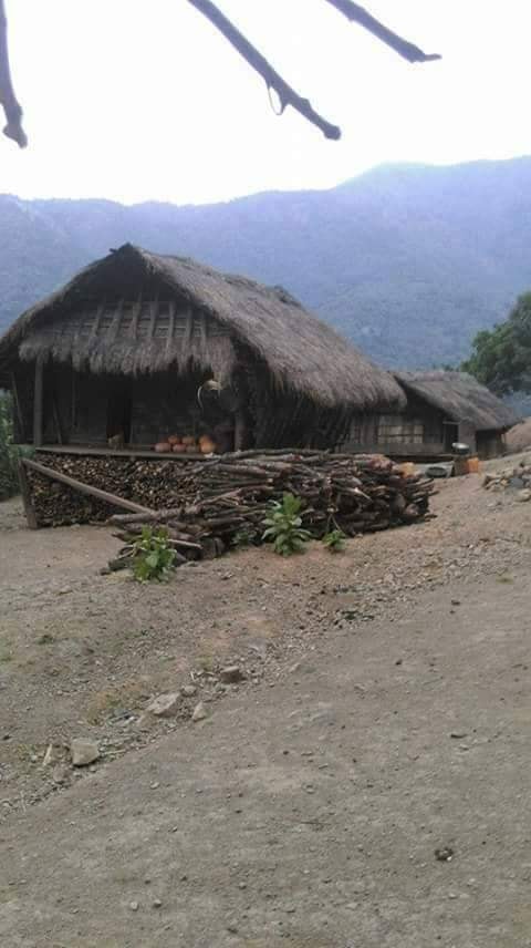 Zomi image zomi-22.jpg