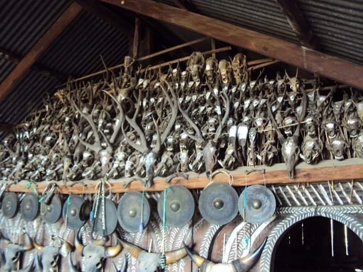 Zomi image zomi-23.jpg