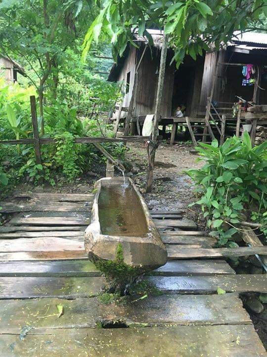 Zomi image zomi-27.jpg