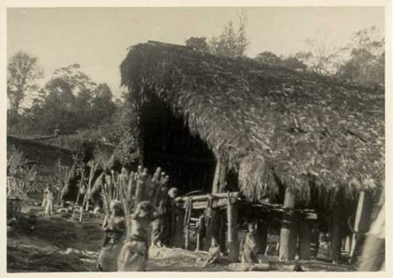 Zomi image zomi-28.jpg