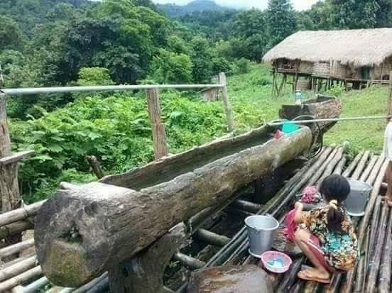 Zomi image zomi-31.jpg