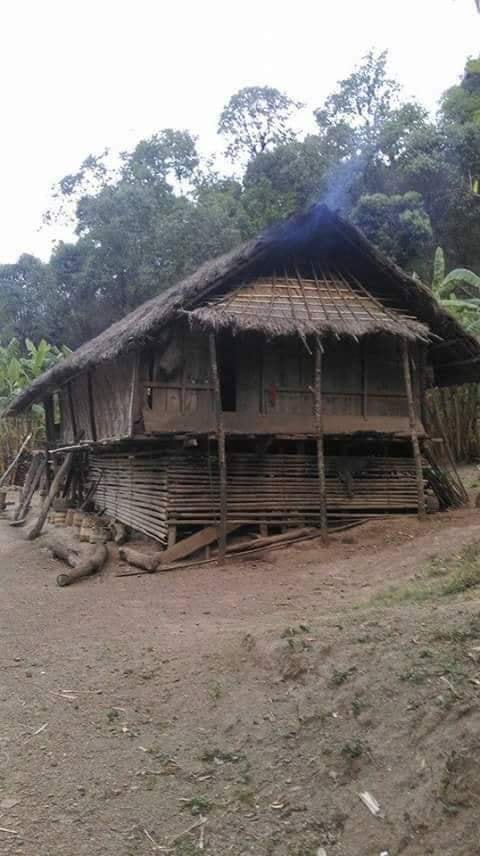 Zomi image zomi-32.jpg