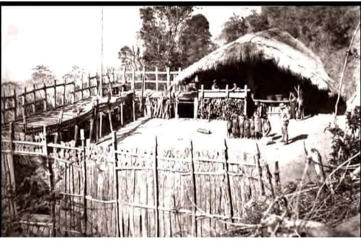 Zomi image zomi-33.jpg