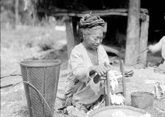 Zomi image zomi-34.jpg