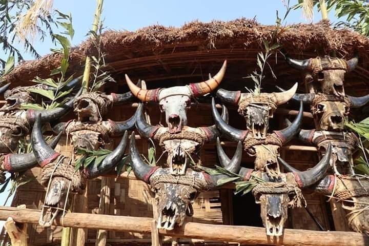 Zomi image zomi-35.jpg