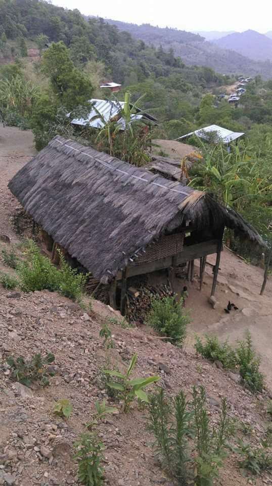 Zomi image zomi-36.jpg