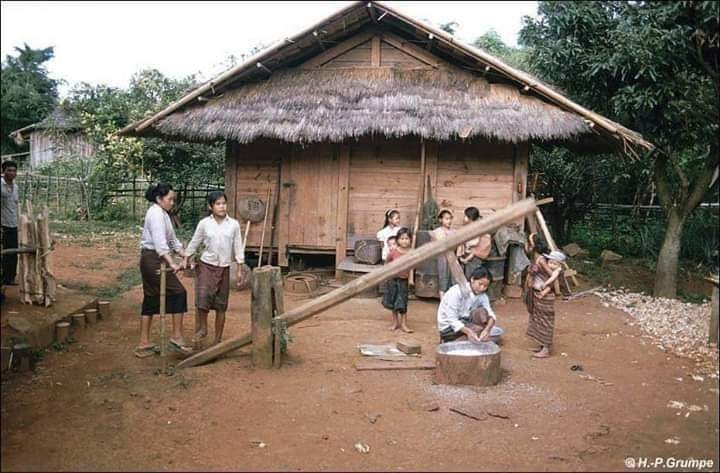 Zomi image zomi-37.jpg