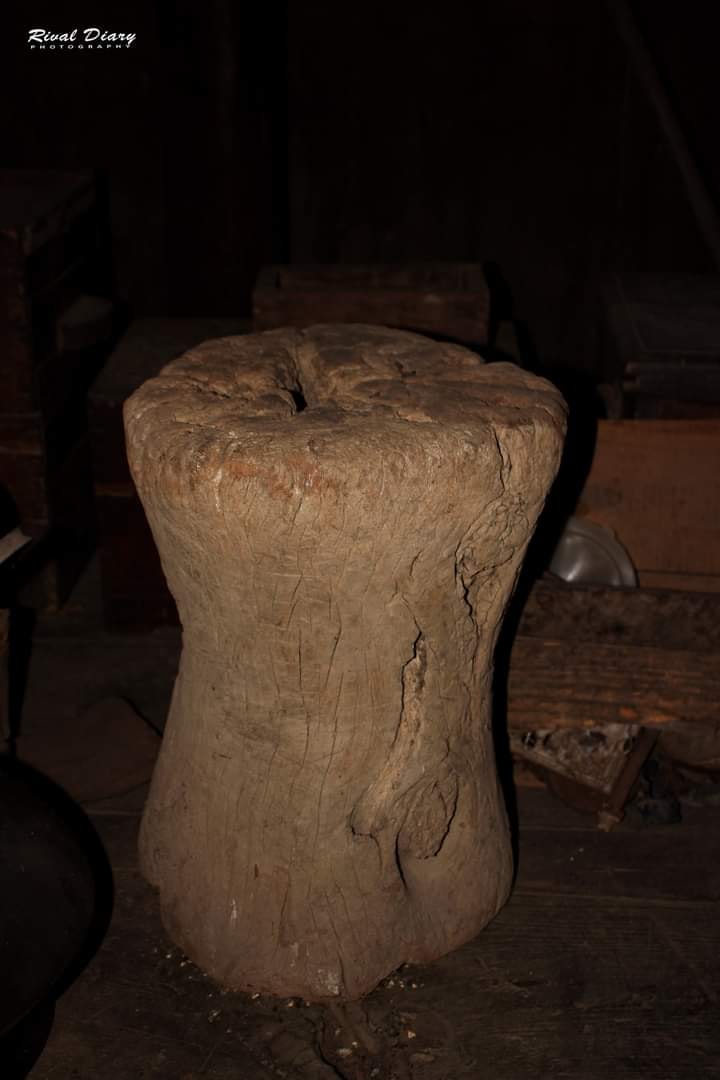 Zomi image zomi-38.jpg