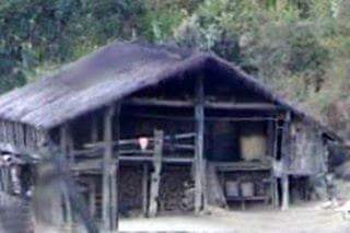 Zomi image zomi-39.jpg