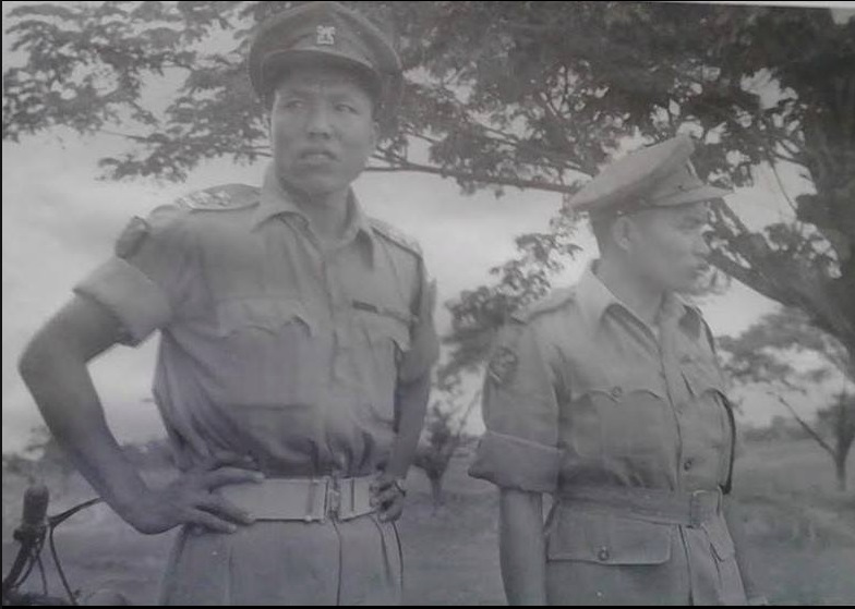 Zomi image zomi-4.jpg