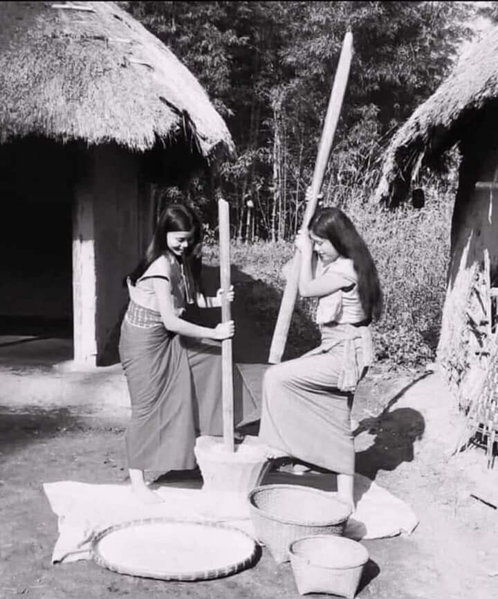 Zomi image zomi-41.jpg